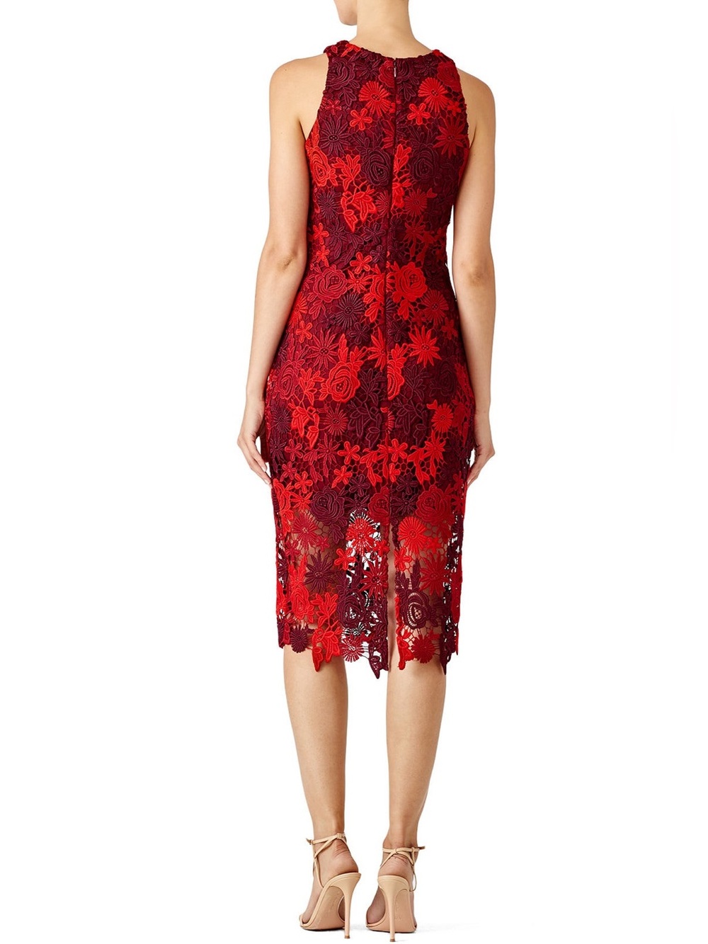 Alexia Admor Red Floral Lace Midi Dress XS Elegant Cocktail Wedding Guest - Picture 2 of 10